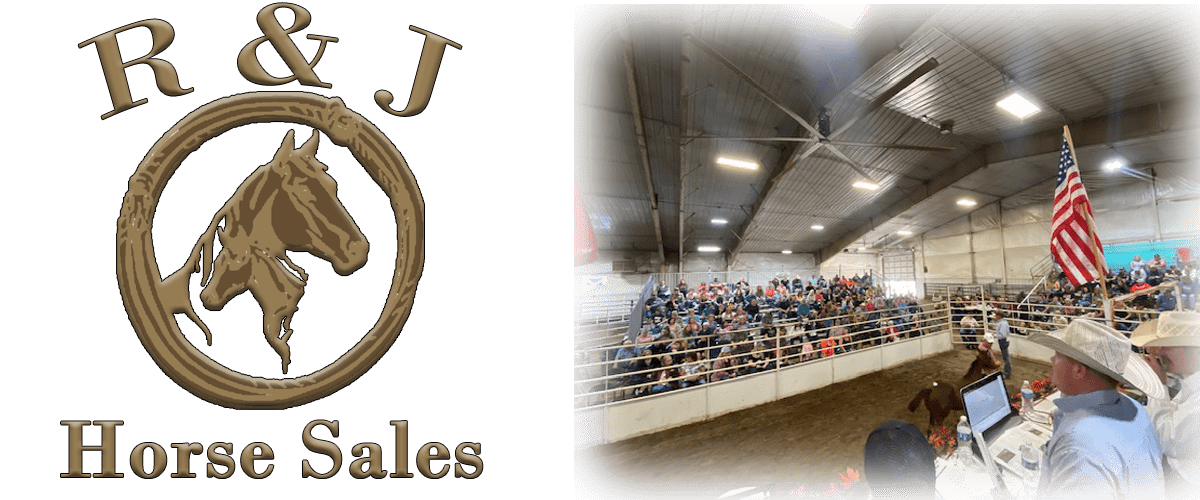 horse sale front page photo
