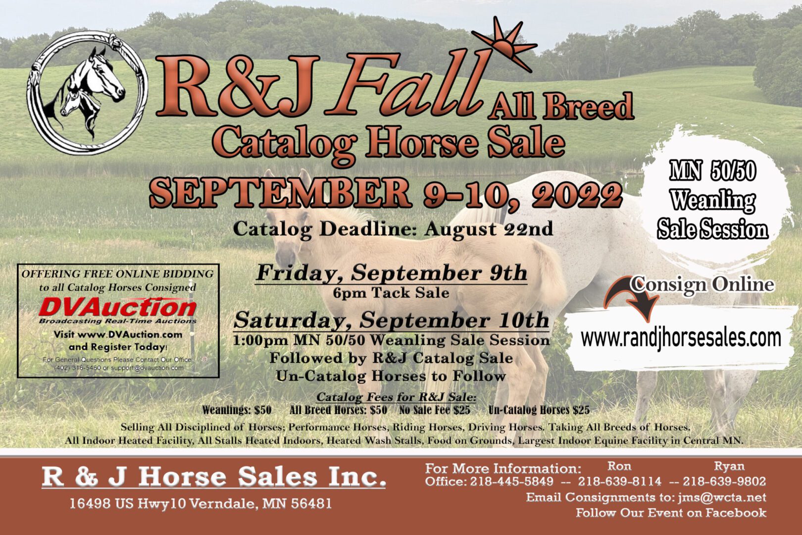 Find Your Forever Horse R & J Horse Sales Verndale, MN