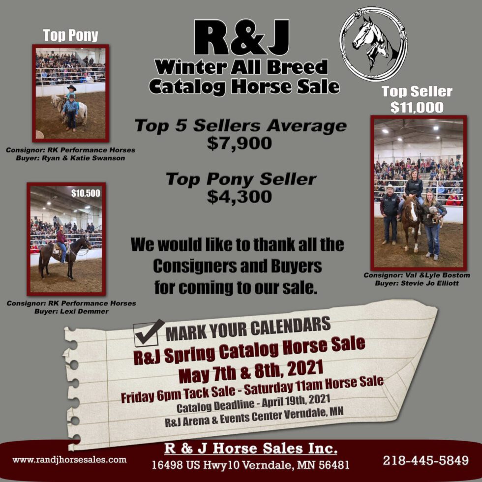 Sales Highlights - Our Past Sales - R & J Horse Sales