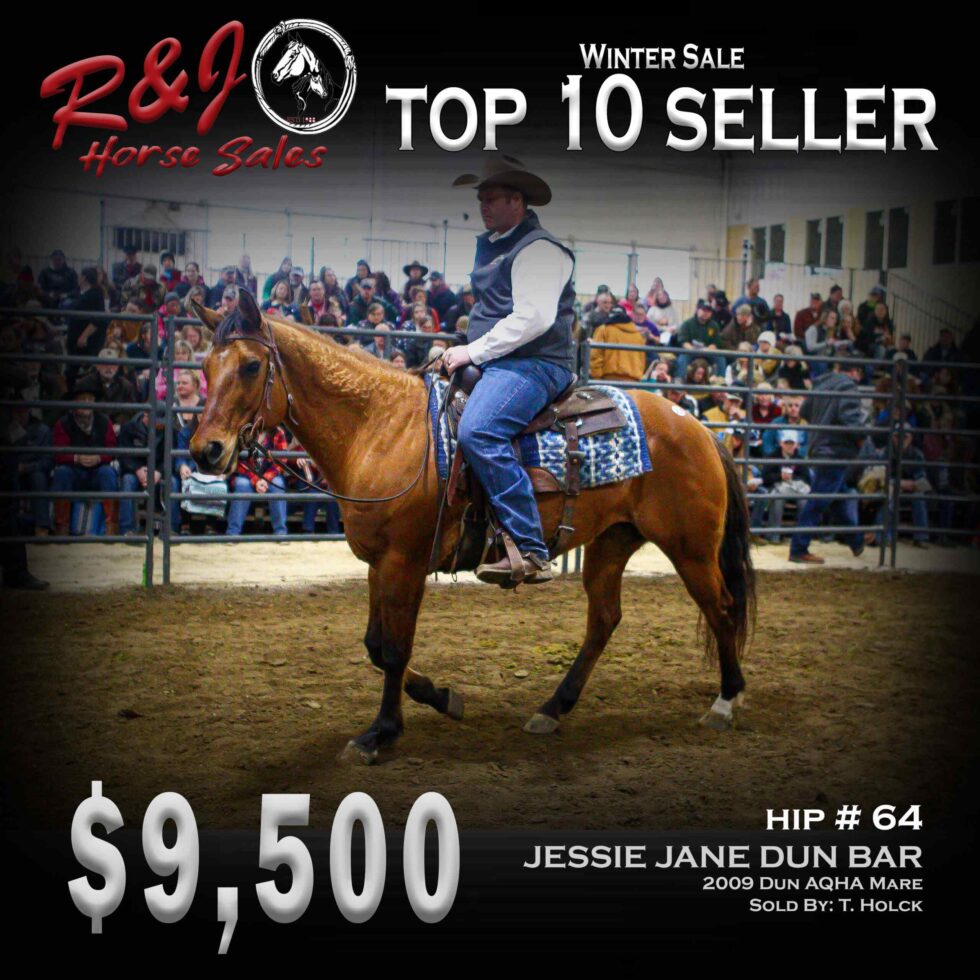 Sales Highlights Our Past Sales R & J Horse Sales