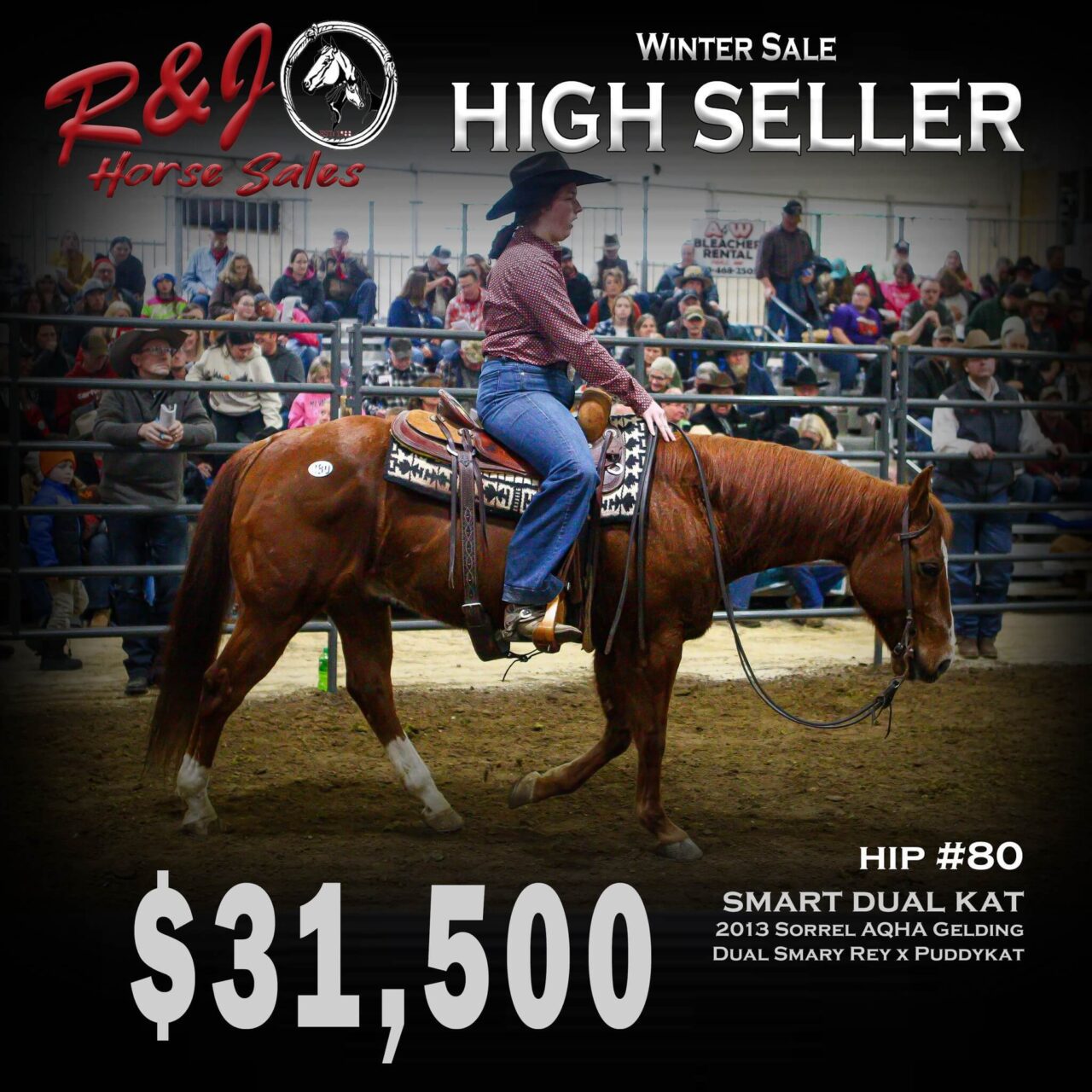 Sale Highlights R & J Horse Sales, Verndale, MN