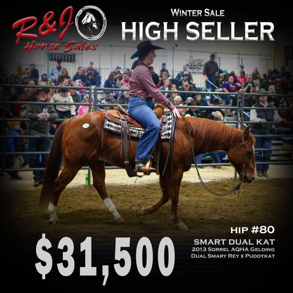 Sales Highlights - Our Past Sales - R & J Horse Sales