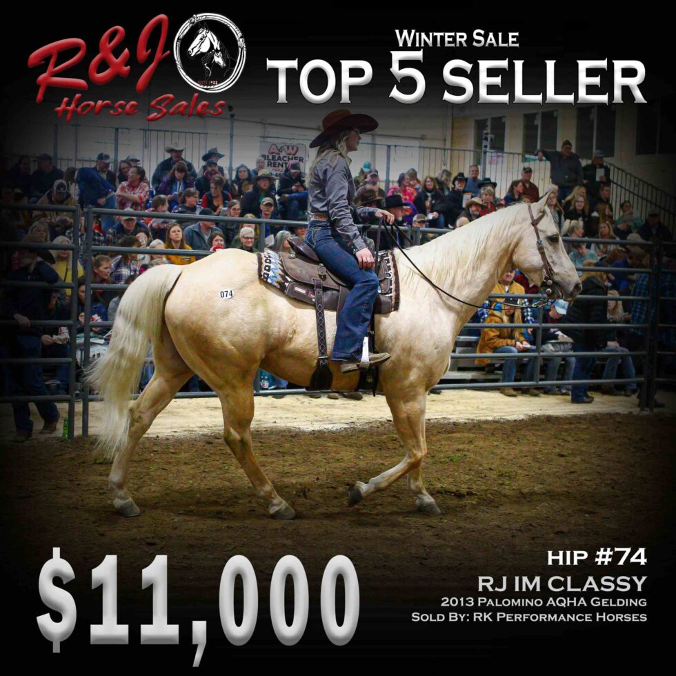 Sales Highlights Our Past Sales R & J Horse Sales