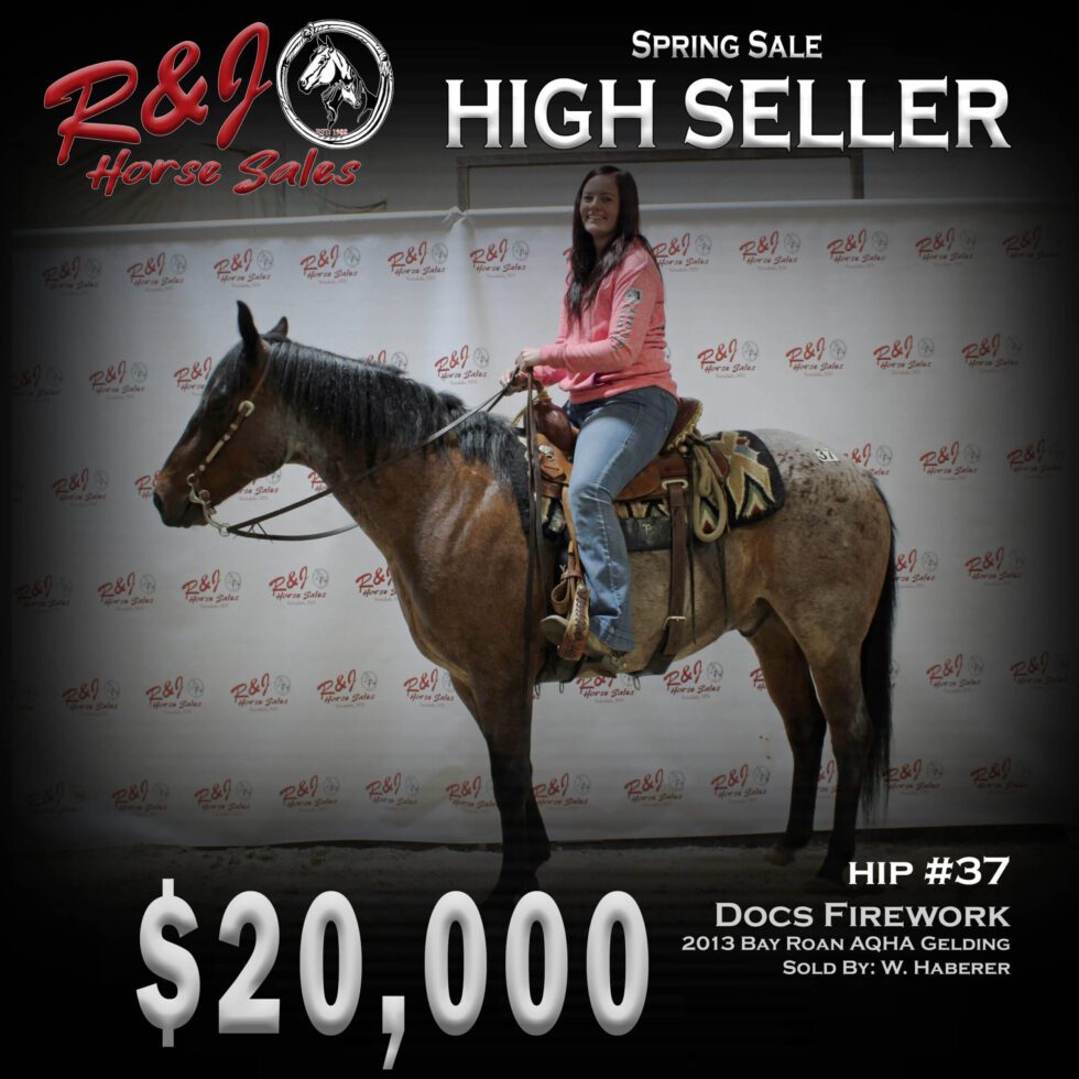 Sales Highlights Our Past Sales R & J Horse Sales