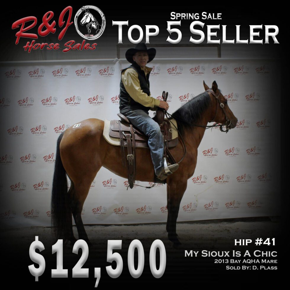Sales Highlights Our Past Sales R & J Horse Sales