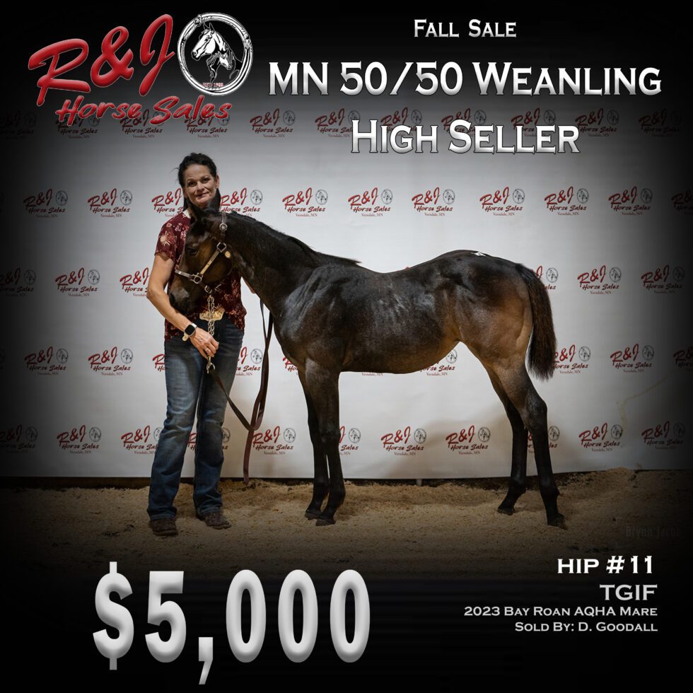 Past Sales Results R & J Horse Sales, Verndale, MN