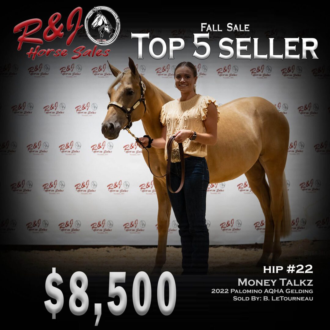 A poster of top five seller horse on the website