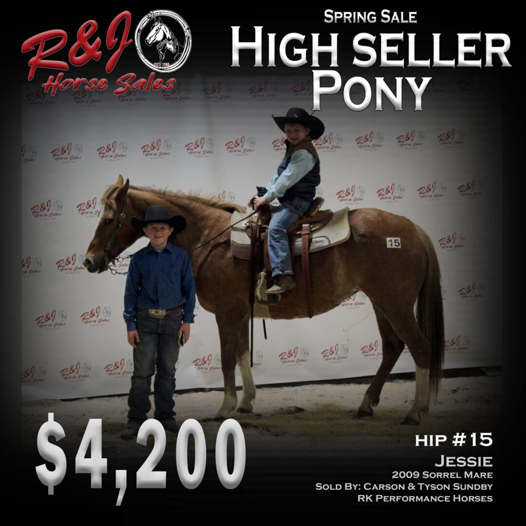 A spring sale high seller pony on a white background