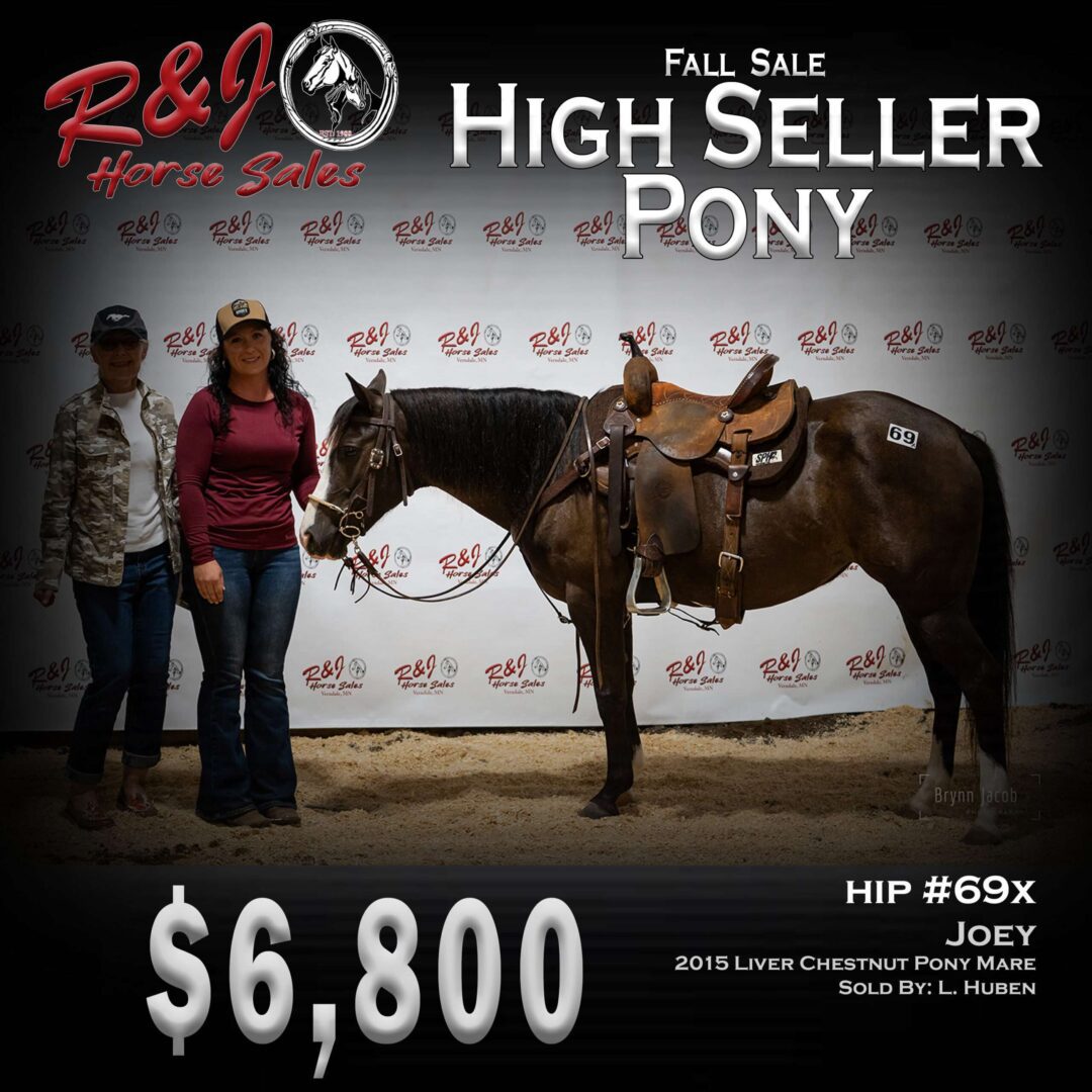 Fall high seller pony poster on the website on a white background