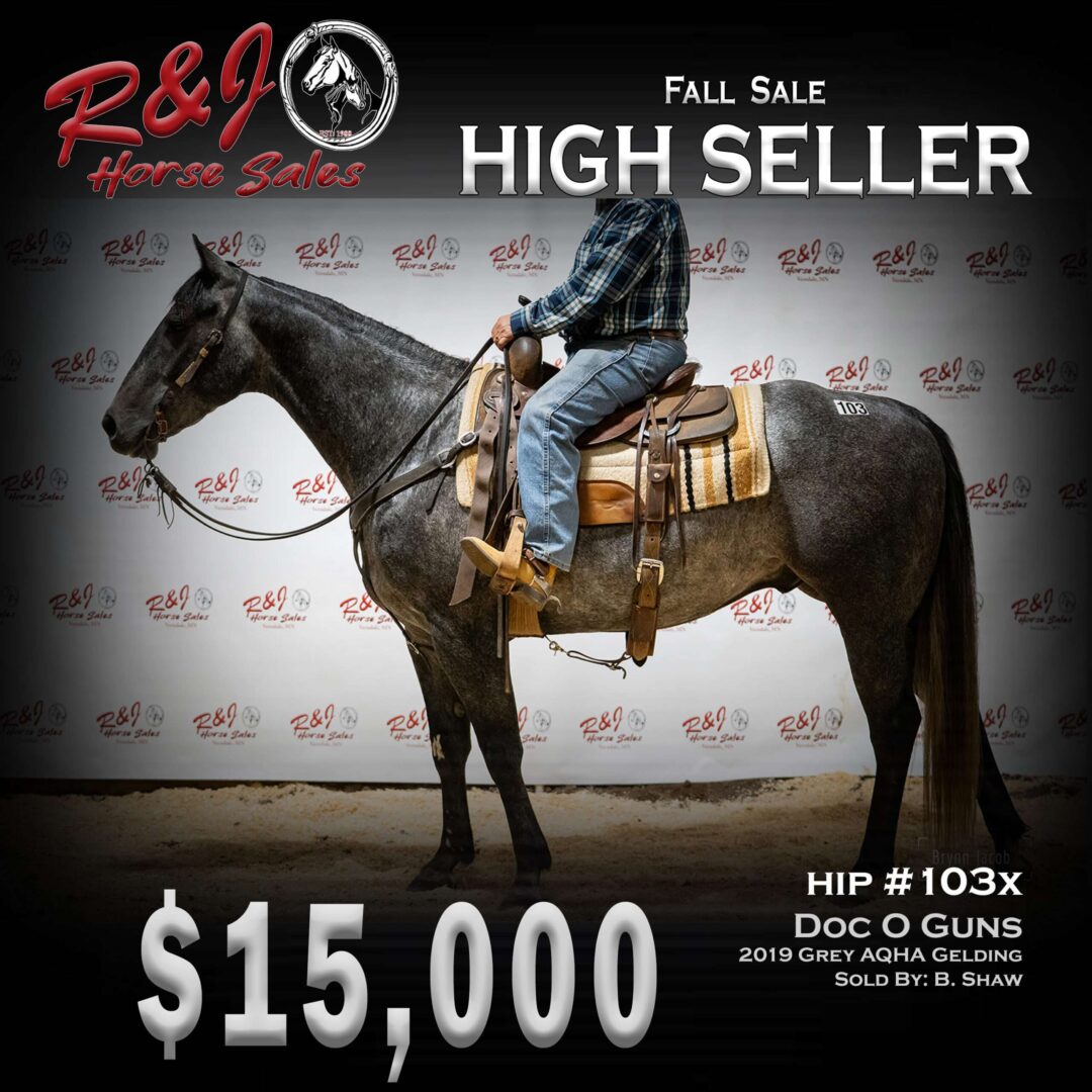High seller horses flyer poster on the website