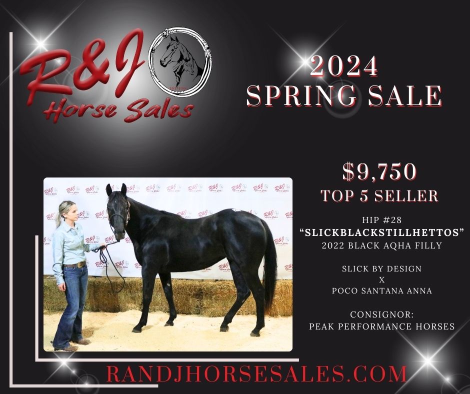 A spring sale high seller pony on a white background