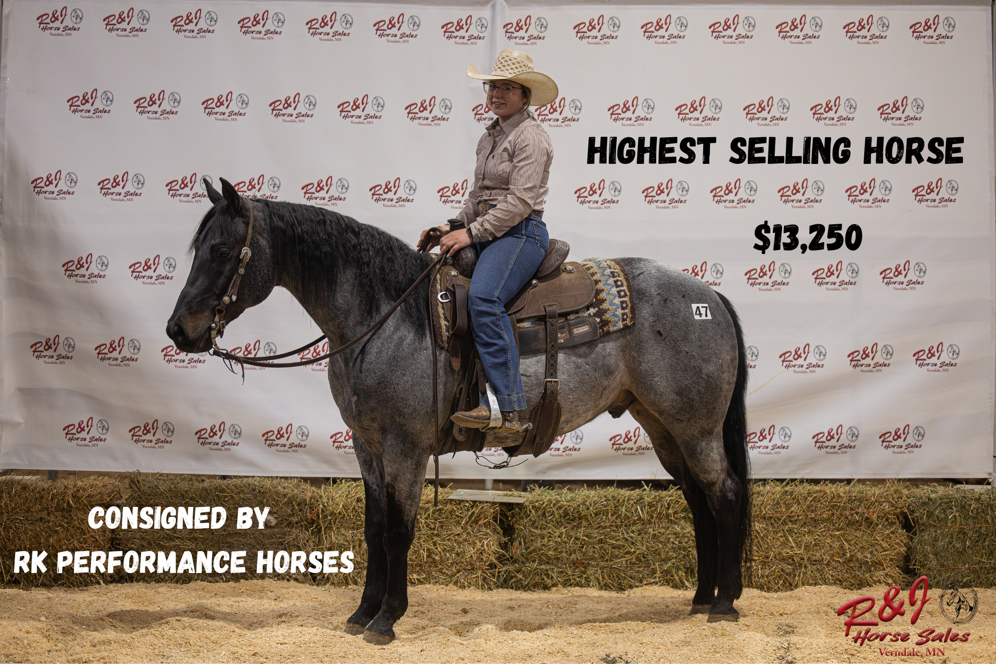 Highest selling horse 5_10 pt2
